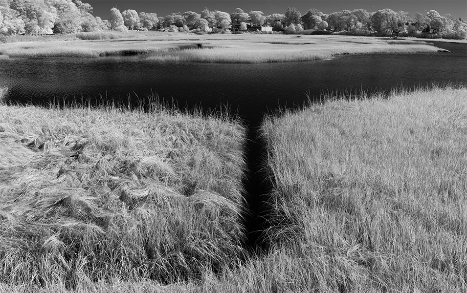 Infrared Photo of Littoral Weeds, a Drainge Chanell, Water and the Other Side.